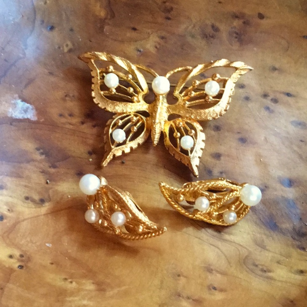 Cute Butterfly Brooch and matching clip ones